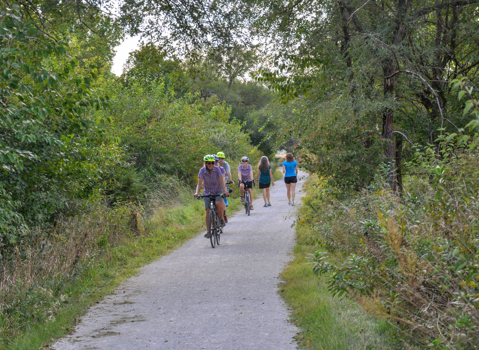 Trail network